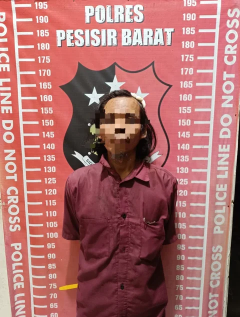 Sengketa Tak Kunjung Selesai, Pria di Lampung Ditangkap Usai Tembaki Tetangga dengan Senapan Angin