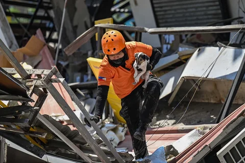 Petugas penyelamat dan seekor anjing pelacak melakukan operasi pencarian dan penyelamatan di lokasi bangunan yang runtuh setelah gempa bumi berkek magnitude 7,8 di Kota General Santos,  Filipina, Selasa (09/06/2026).