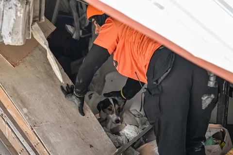 Petugas penyelamat dan seekor anjing pelacak melakukan operasi pencarian dan penyelamatan di lokasi bangunan yang runtuh setelah gempa bumi berkek magnitude 7,8 di Kota General Santos,  Filipina, Selasa (09/06/2026).