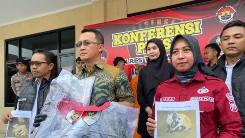 Kabur dan Berisik saat Mau Dicuri, Hewan Ini Bikin Kawanan Pencuri Ternak Ditangkap Warga