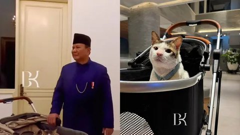 7 Potret Lucu dan Gemas Bobby Kertanegara Kucing Kesayangan Prabowo Ikut Pelantikan Presiden