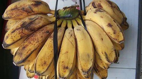 Pisang Kepok Tidak Hitam Saat Direbus? Ini Triknya Pakai Rice Cooker