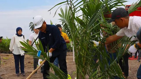 PTPN Buka Lowongan Magang buat Mahasiswa dan Fresh Graduate, Cek Posisi yang Kosong