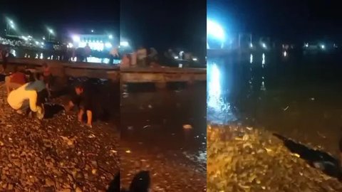 Viral Ikan Melompat ke Daratan, Gegerkan Warga Kota Agung Lampung