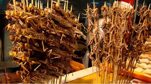 Selain Gudeg, 14 Makanan Khas Yogyakarta ini Wajib Anda Cicipi saat Wisata Dijamin Ketagihan