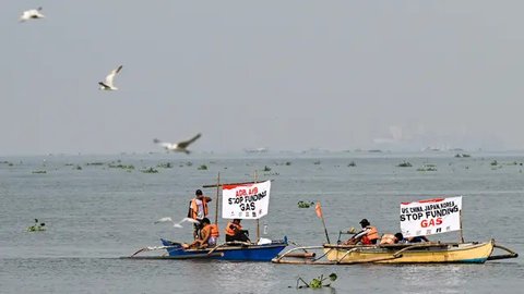 Penelitian Ungkap Paus Dapat Serap Karbon Sampai 33.000 Kilogram, Berkontribusi dalam Atasi Perubahan Iklim