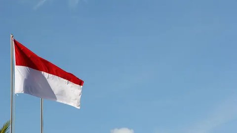 Makna dan Sejarah Hari Bela Negara, Momen untuk Menghargai Perjuangan dan Menumbuhkan Nasionalisme