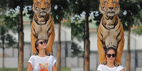 Potret Cantik Abigail Gusmawan Tampil Santai saat Foto Bersama Harimau di Thailand