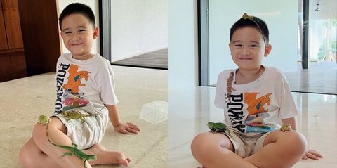 Ada Katak sampai Iguana, Ini Kumpulan Hewan Peliharaan Athar Anak Citra Kirana dan Rezky Aditya