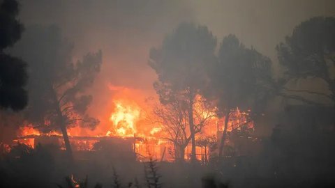 Korban Tewas Kebakaran Hutan di Los Angeles Bertambah Jadi 16 Orang