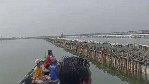 Ternyata Pagar Laut juga Ada di Bekasi, ini Penampakannya