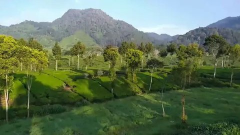 Gunung Batu Ciwidey dan Sisi Menariknya, Ada Banyak Bangunan Peninggalan Belanda