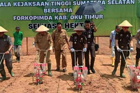 Kejati Sumsel Tanam Jagung di OKU Timur, Dukung Ketahanan Pangan Nasional