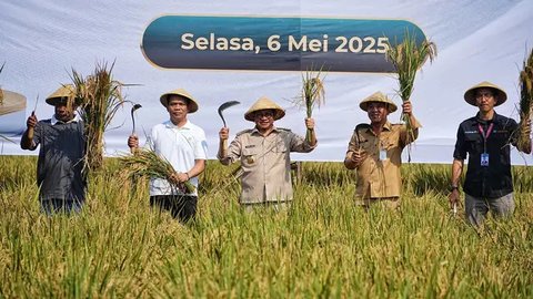 Jakarta Mustahil Mencukupi Kebutuhan Pangan Sendiri, Butuh Dukungan Produksi dari Karawang