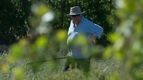 Presiden Termiskin di Dunia Jose Mujica Tutup Usia