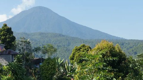 Menguak Alasan Larangan Membawa Daging Sapi ke Gunung Agung