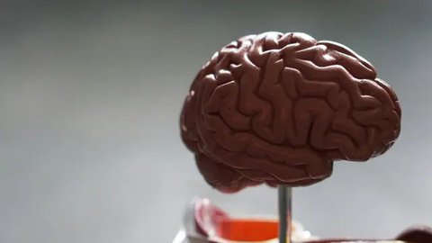 Ini yang Terjadi saat Otak Ngeblank