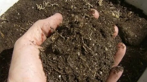 Waspada! Beredar Pupuk Palsu bikin Petani Merugi, Ini Cara Membedakannya dengan yang Asli