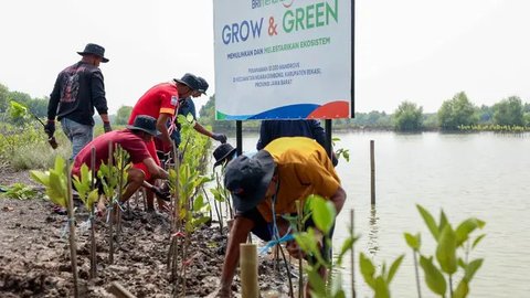 FOTO: Hari Mangrove Sedunia 2025, BRI Tunjukkan Aksi Nyata Selamatkan Ekosistem Pesisir Muara Gembong Bekasi