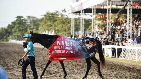 Catatkan Sejarah Baru, Kuda King Argentin Raih Gelar Triple Crown Indonesia