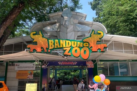 Fakta Mengejutkan: Penutupan Bandung Zoo Akibatkan Penurunan Wisatawan dan Potensi Kerugian Miliaran Rupiah