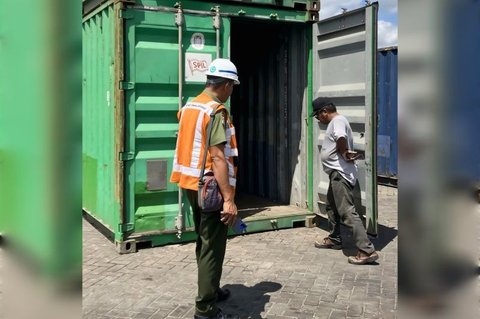 Fakta Unik Trenggiling: BKSDA Pastikan Temuan Trenggiling TPK Bagendang Bukan Penyelundupan, Hanya Tersesat dari Semak Belukar!