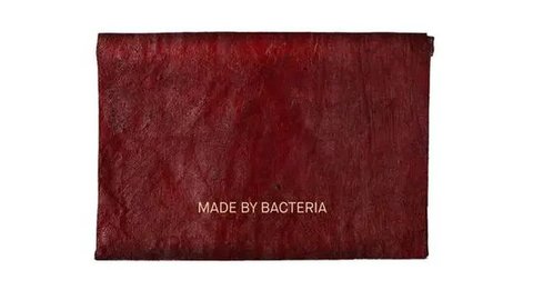 Harbolnas 10.10, Jangan Terlewat 6 Dompet Lipat Pria Simple Elegan di Bawah Rp300.000