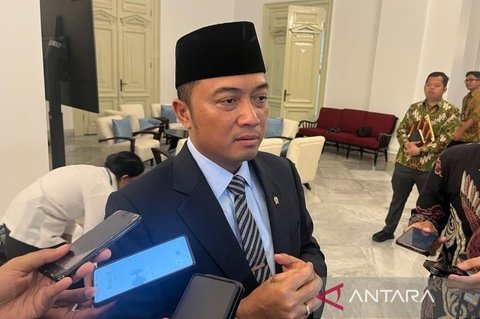 Istana Ungkap Rencana Penggabungan GoTo Grab, Libatkan Danantara dan Bahas Nasib Ojol