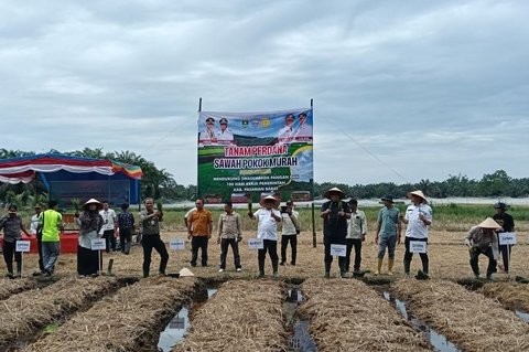 {{caption}}