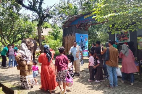 Semarang Zoo Sambut Tahun Baru 2026 dengan Zoonderland: Pesta Hiburan Meriah untuk Keluarga