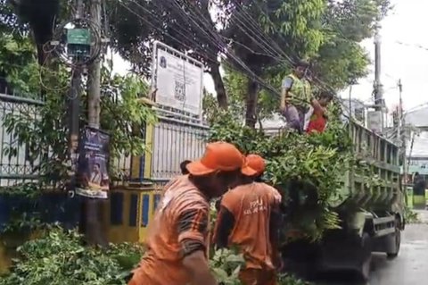 {{caption}}