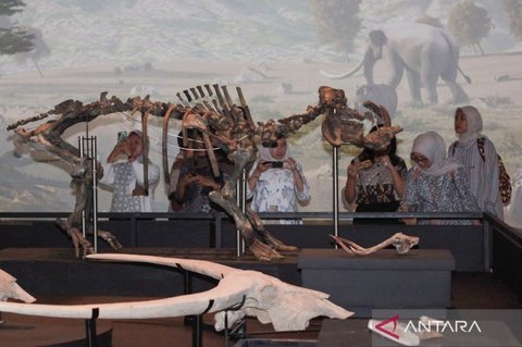 Kenaikan Harga Tiket Museum Nasional: Ancaman Akses Pendidikan Sejarah bagi Keluarga Menengah