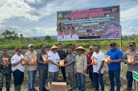 Pemprov Papua Perkuat Ketahanan Pangan Lokal Melalui Penanaman Jagung