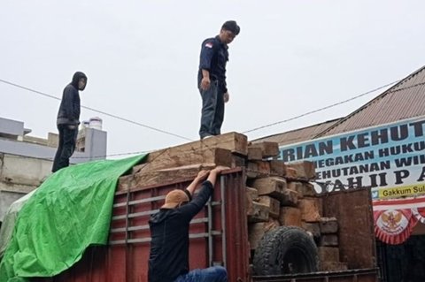 Penindakan Kayu Ilegal Sulteng: Kementerian Kehutanan Siap Sidangkan Pelaku di Donggala