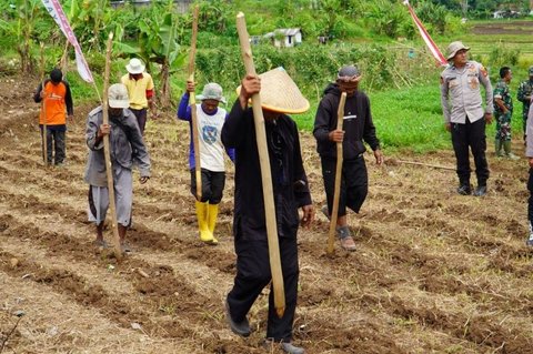 Polres Tasikmalaya Tanam Jagung Serentak di 22 Hektare Lahan, Dukung Swasembada Pangan 2026
