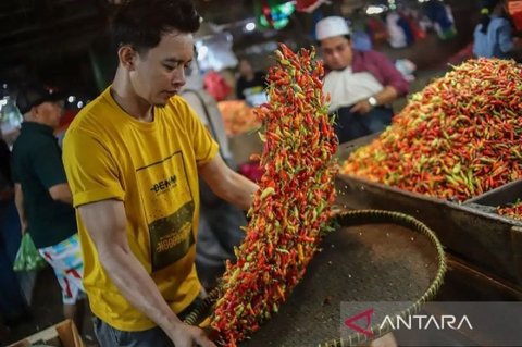 PIHPS Nasional Rilis Harga Pangan Terkini: Cabai Rawit Merah Rp72.500/kg, Telur Ayam Rp31.500/kg