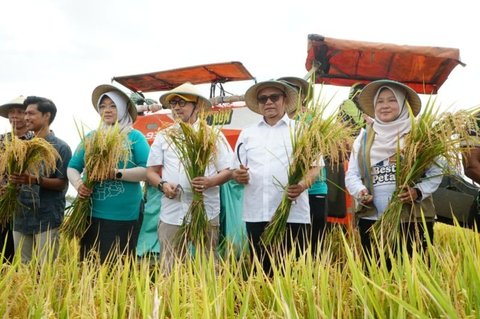 Sukses Panen Padi 10 Ton Pati: Pemkab Buktikan Produktivitas Pertanian Unggul