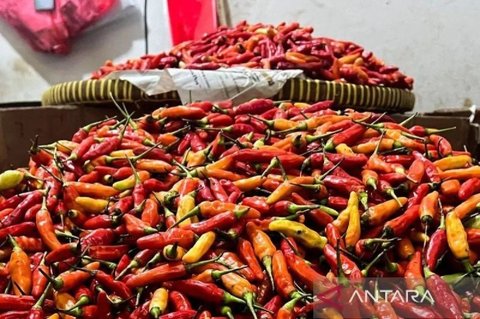 PIHPS Rilis Data Terbaru: Harga Pangan Nasional, Bawang Merah dan Cabai Rawit Merah Melonjak