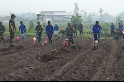 TNI Tanam Jagung Kediri, Perkuat Ketahanan Pangan Nasional Melalui TMMD ke-127