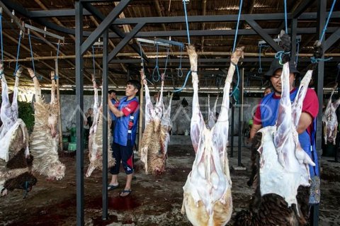 BI Perkuat Kualitas Juru Sembelih Halal Sulawesi Utara, Dorong Ekonomi Syariah dan Pariwisata