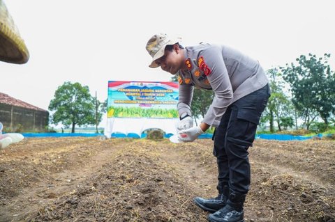 Polres Karawang Tanam Jagung Serentak, Dukung Swasembada Pangan Nasional 2026