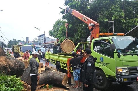 {{caption}}