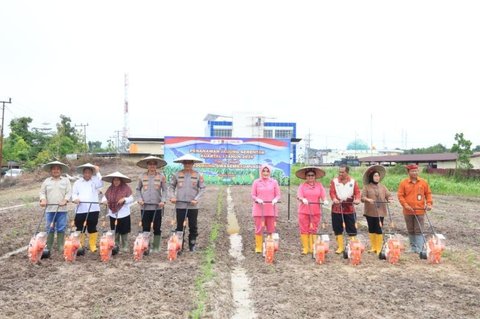 Polda Kaltara Perkuat Ketahanan Pangan dengan Kelola 808 Hektare Lahan Pertanian