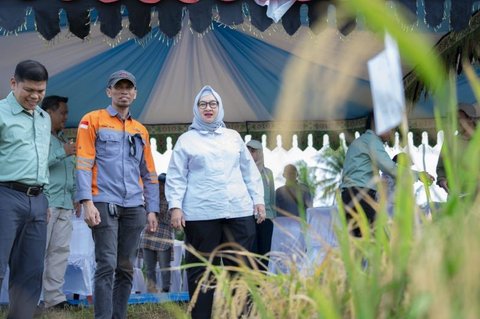 {{caption}}