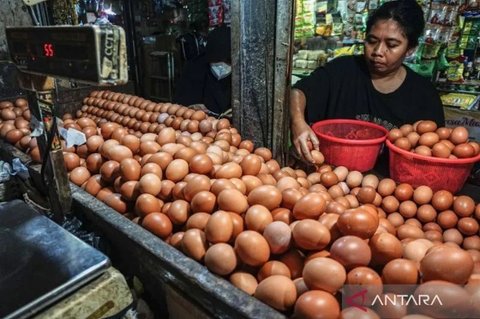 Harga Pangan PIHPS Nasional 15 Maret 2026: Telur Ayam dan Bawang Merah Stabil Tinggi