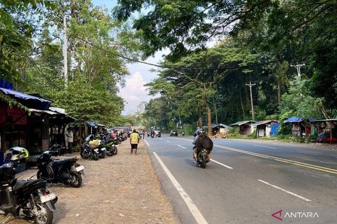 Alas Roban: Dari Jalur Mudik Legendaris Pantura hingga Sunyi Setelah Tol Trans Jawa