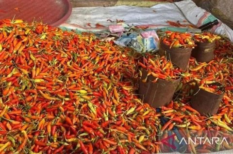Harga Pangan Jelang Lebaran Meroket: Cabai Rawit Tembus Rp131.000 per Kg