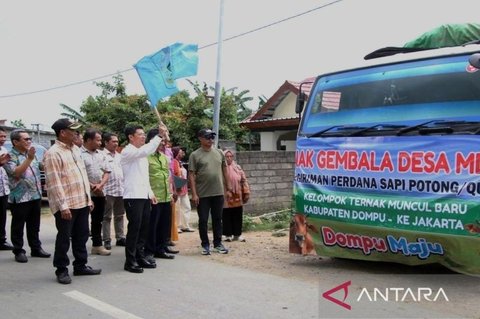 Dompu Kirim 107 Ekor Sapi untuk Idul Adha 1447 H, Perkuat Pasokan Nasional