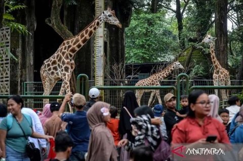 Lebih dari 350 Ribu Wisatawan Padati Ragunan Selama Libur Lebaran 2026