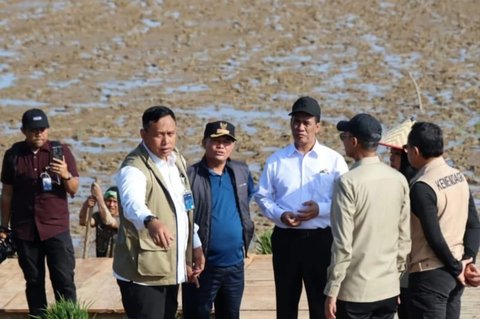 Intensifikasi Sawah Aceh Utara Digenjot Pasca Bencana, Jaga Ketahanan Pangan Daerah